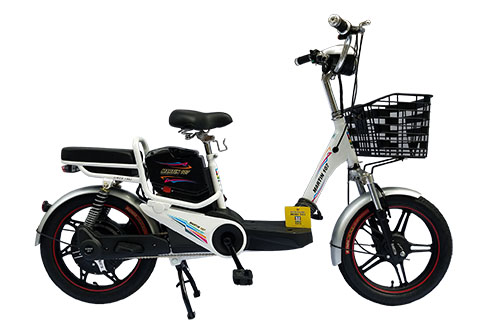 Xe đạp điện Martin EBM A1