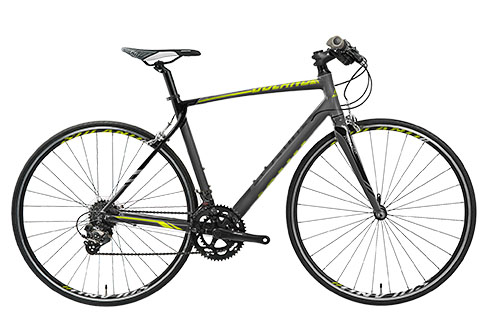 Xe đạp ASAMA RB SL2802T