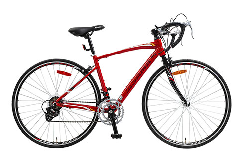 Xe đạp ASAMA RB SL2804