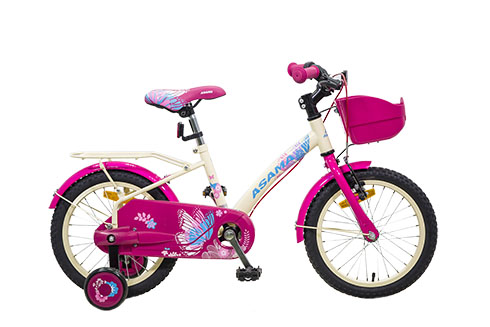 Xe đạp ASAMA KZB 1601