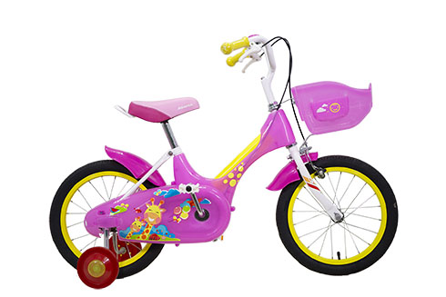 Xe đạp ASAMA KZB 1603