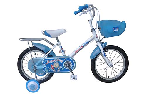 Xe đạp ASAMA AMT 53