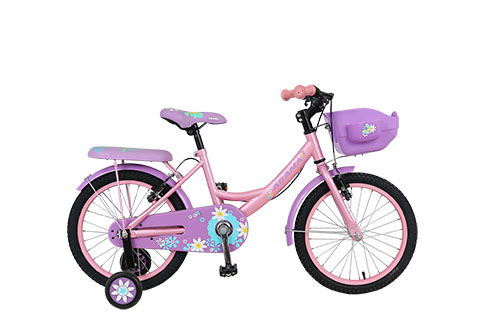 Xe đạp ASAMA KZB 1801